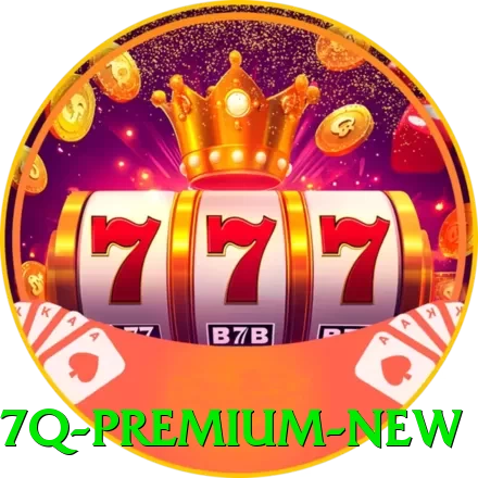 37q Premium New - game