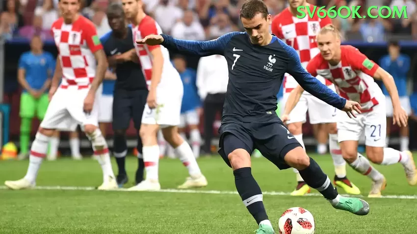 Tudo Sobre c81: Guia Atualizado Para 2024 - pk